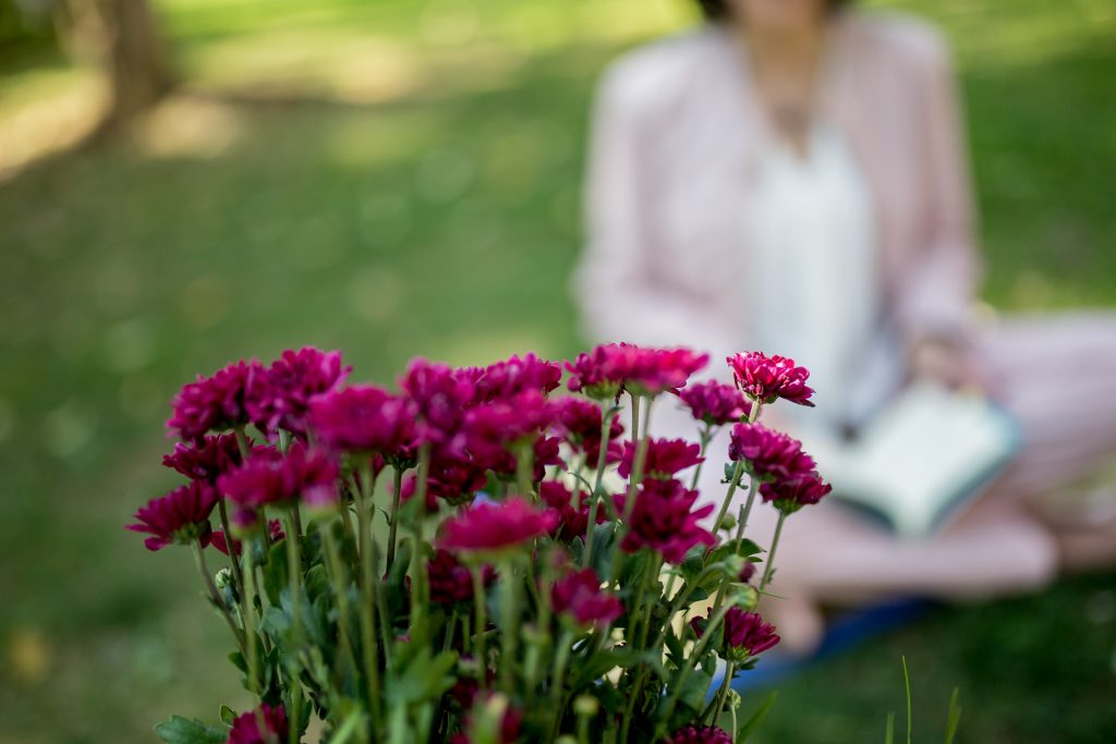 ¿Cómo vas a disfrutar este hermoso día?